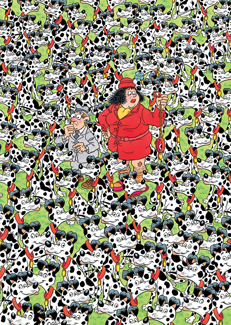 Jan van Haasteren - Expert 3 Where's Max? (500 pieces)