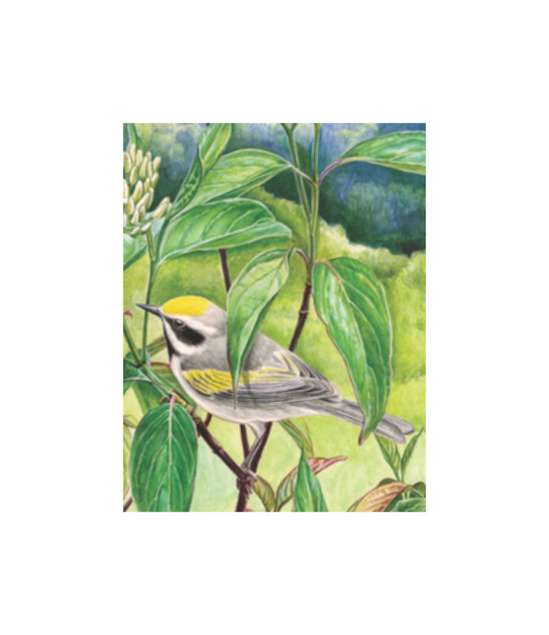 New York Puzzle - Golden-winged Warbler Mini 100 Piece Puzzle