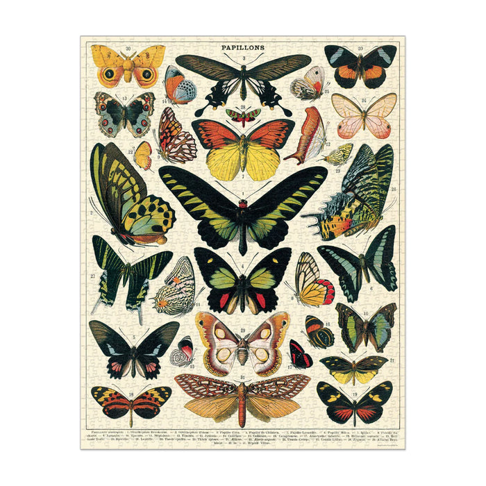 Cavallini & Co. Butterflies