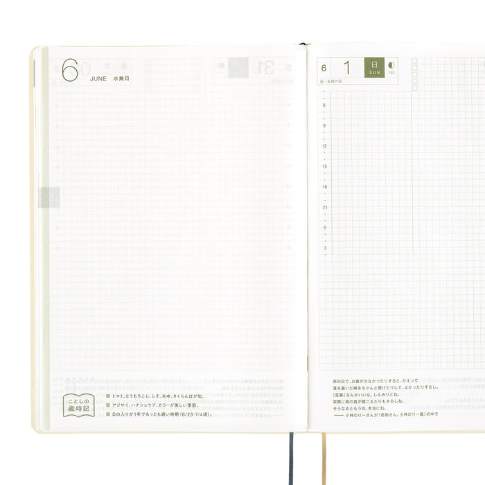 Hobonichi Techo 2025 HON A6 Slash - Ivory