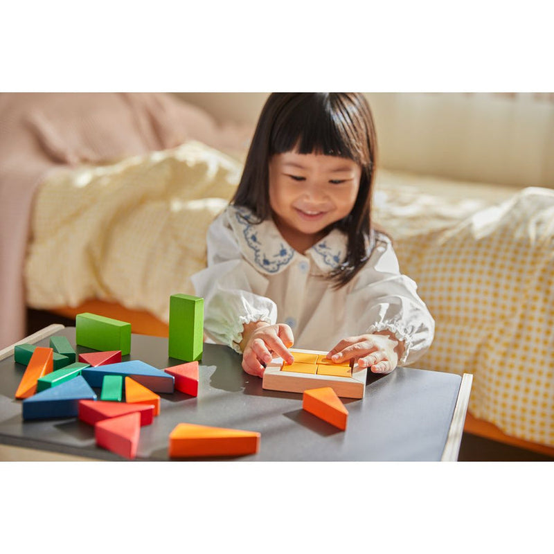 Plantoys Fraction Blocks