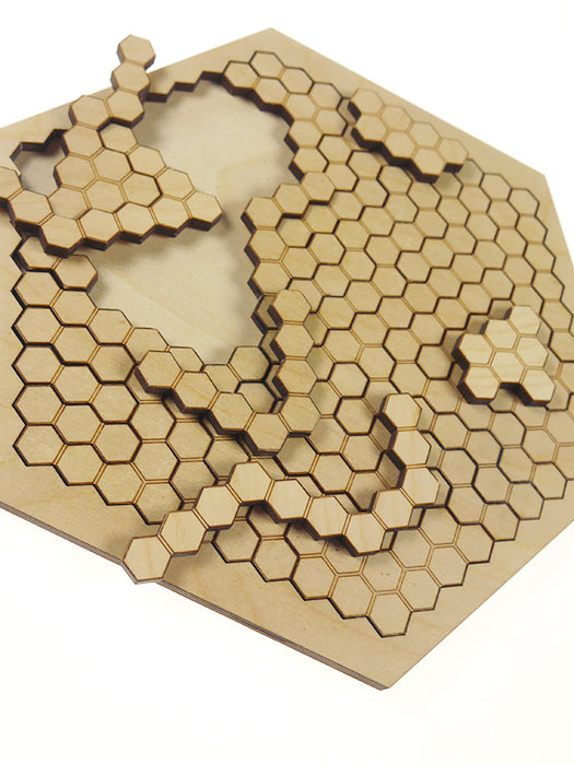 Brain Teaser Honeycomb 22*26cm (32pcs)