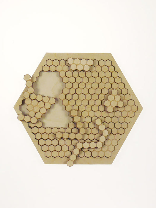 Brain Teaser Honeycomb 22*26cm (32pcs)