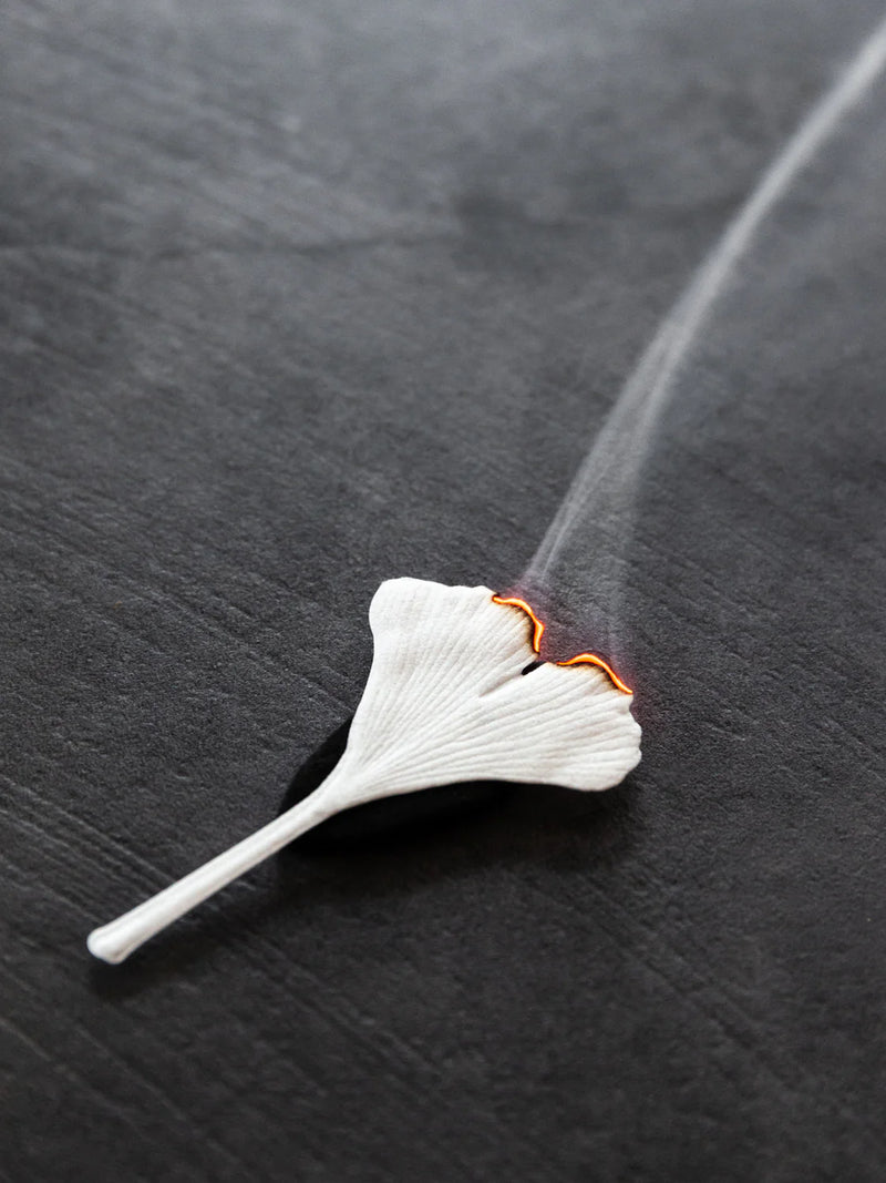 HA KO Paper Incense - Autumn Fennel