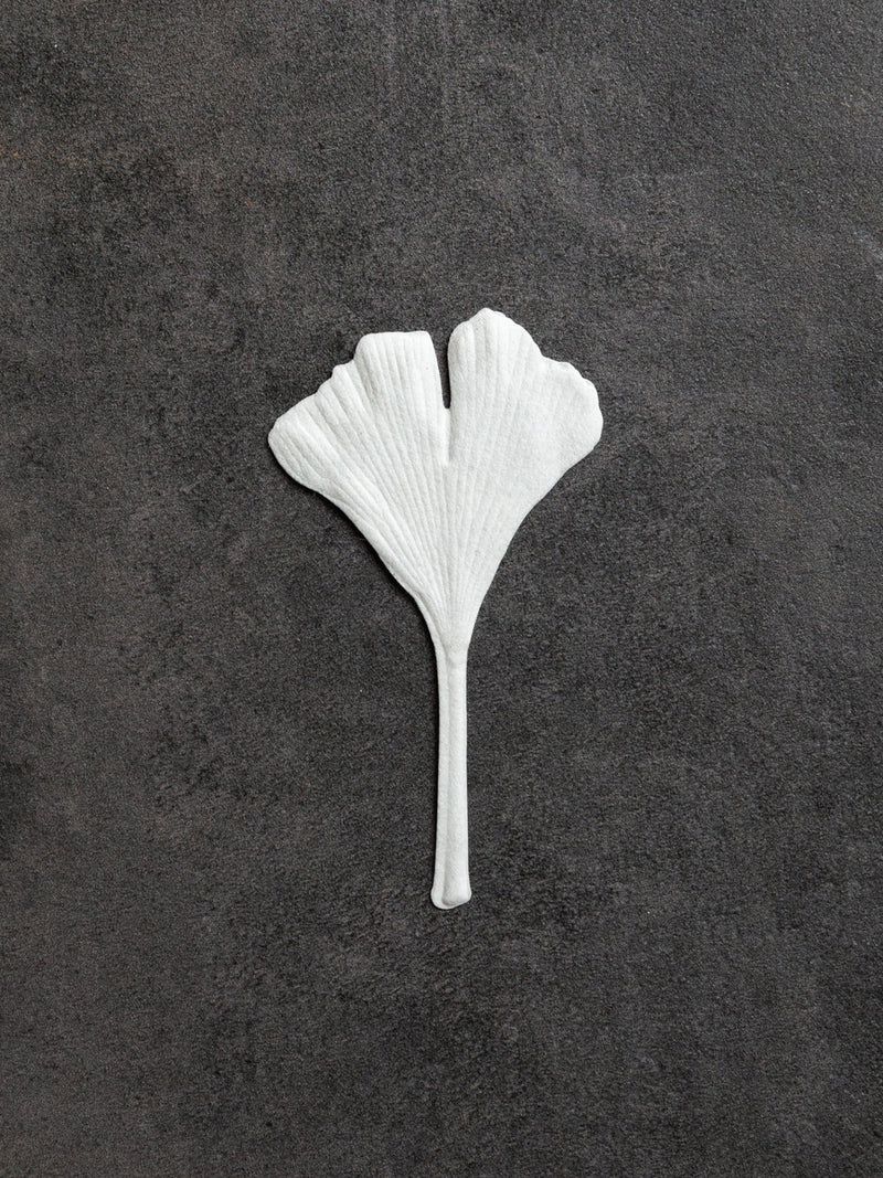 HA KO Paper Incense - Autumn Fennel
