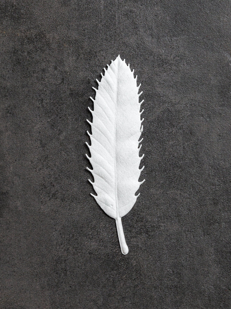 HA KO Paper Incense - Winter, Cedar