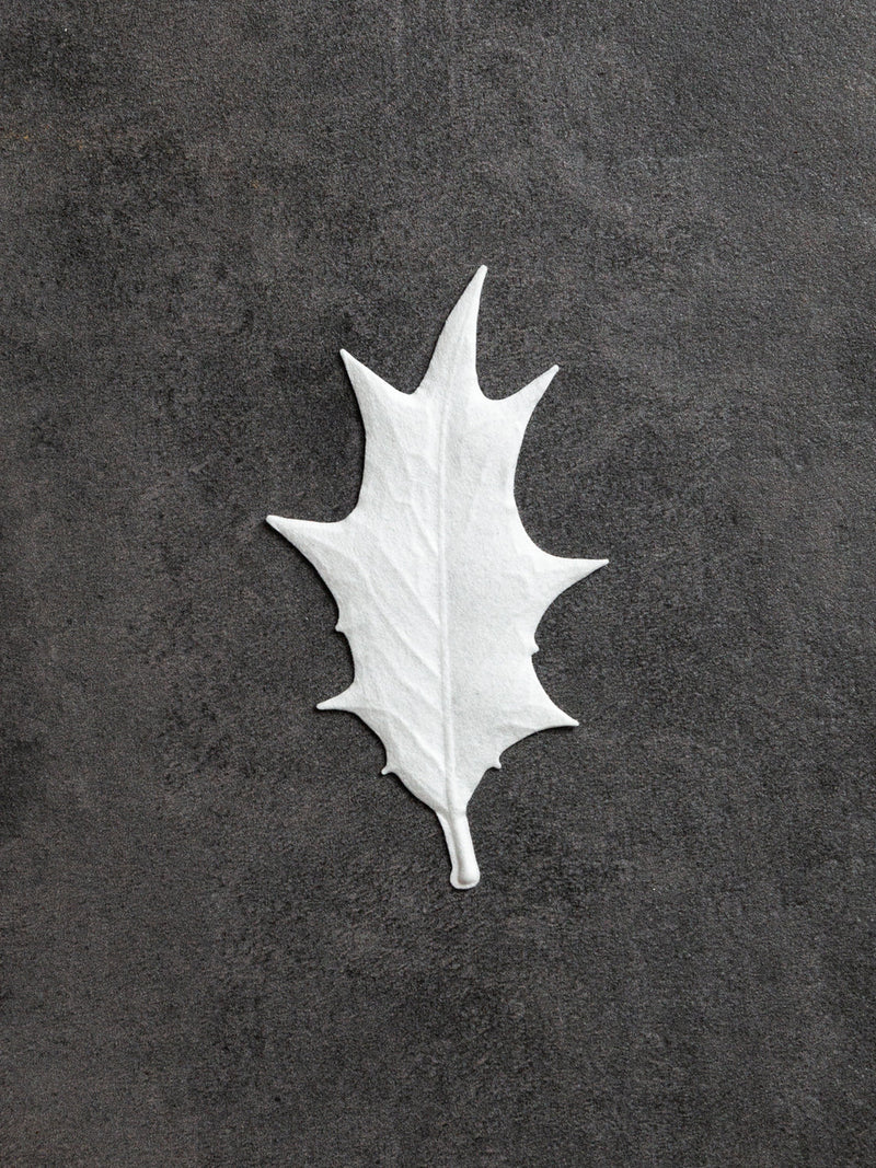 HA KO Paper Incense - Winter, Fir Tree