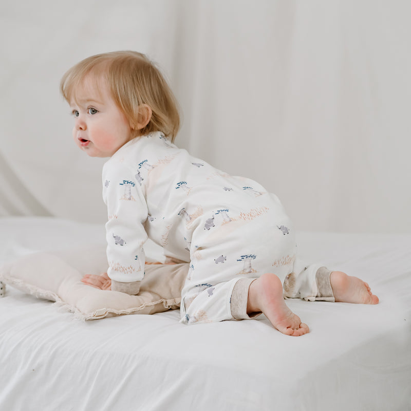Long Sleeve Romper (Organic Cotton) - Baby Baobabs