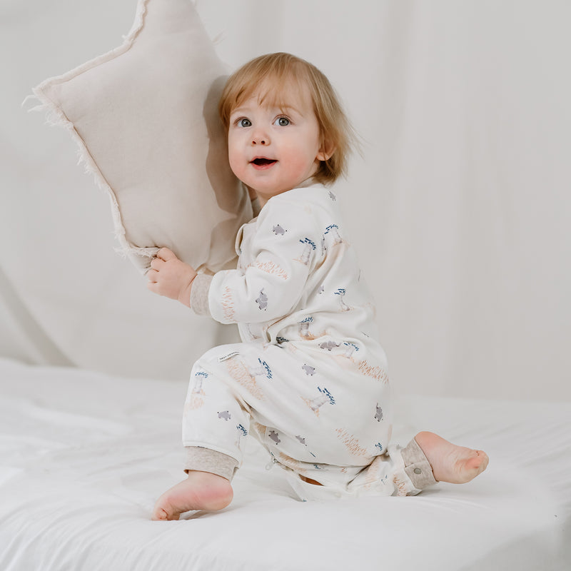 Long Sleeve Romper (Organic Cotton) - Baby Baobabs