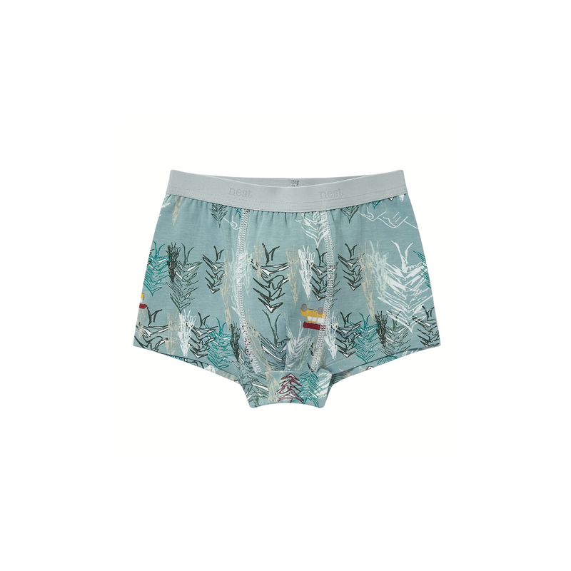 Boys Boxer Briefs Underwear (2 Pack, Bamboo) - Forest Fun