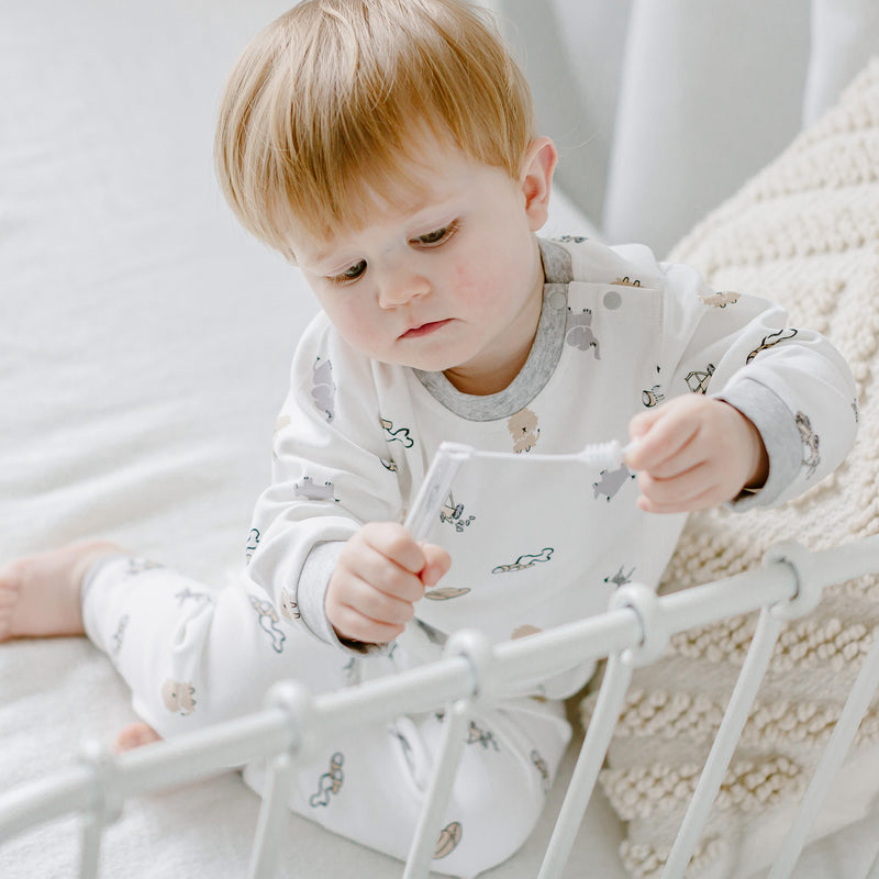 Long Sleeve Two-Piece PJ Set (Organic Cotton) - Safawhee!