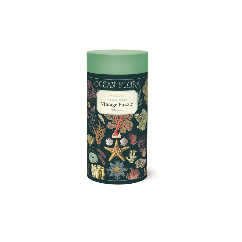 Cavallini & Co. Ocean Flora