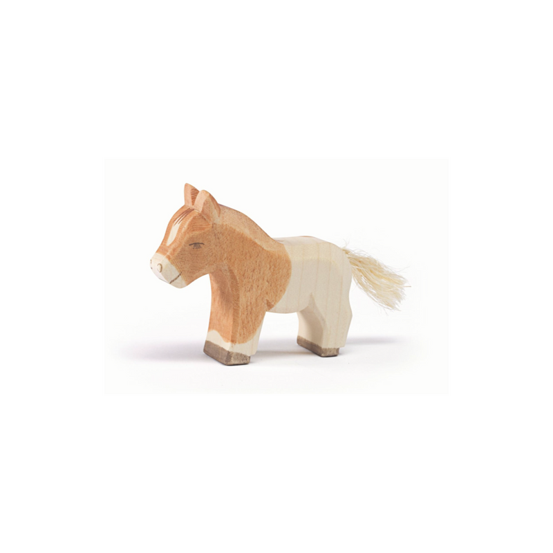 Ostheimer Shetland Colt