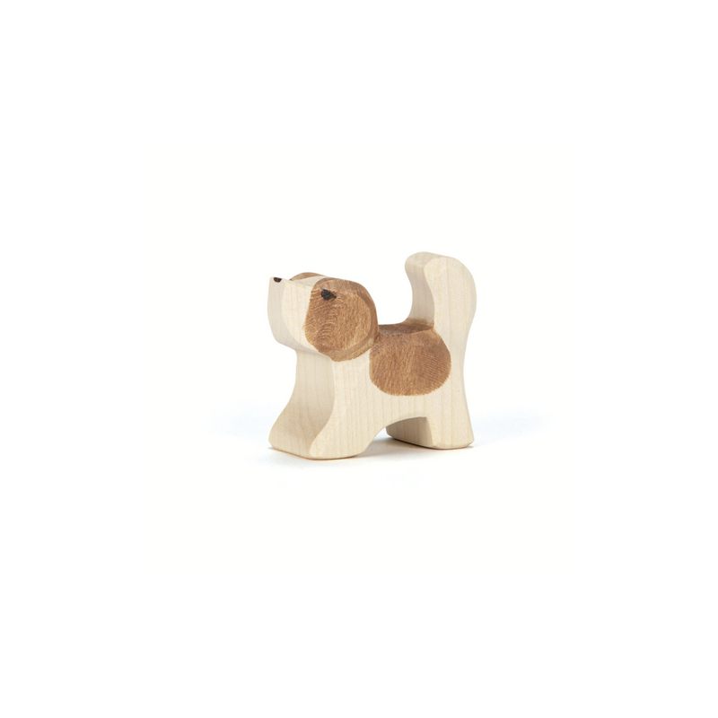 Ostheimer St Bernard Small Head High