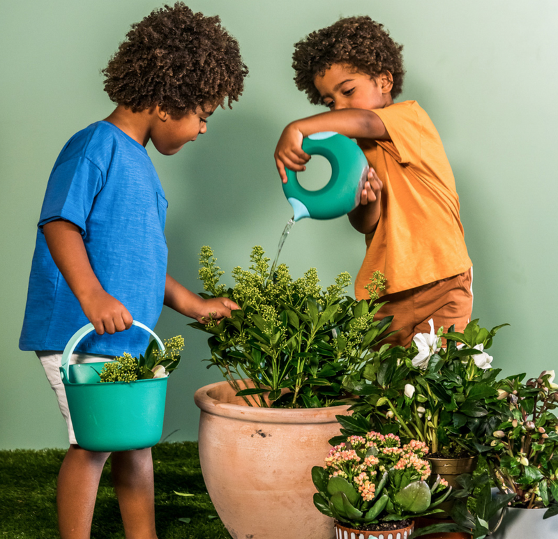 Quut Cana Small (0.5L) - Garden Green