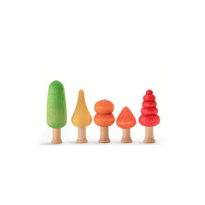 Ocamora Forest Warm (5pcs)