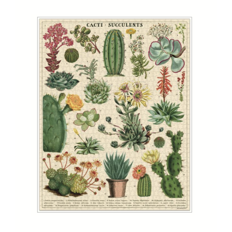 Cavallini & Co. Cacti & Succulent