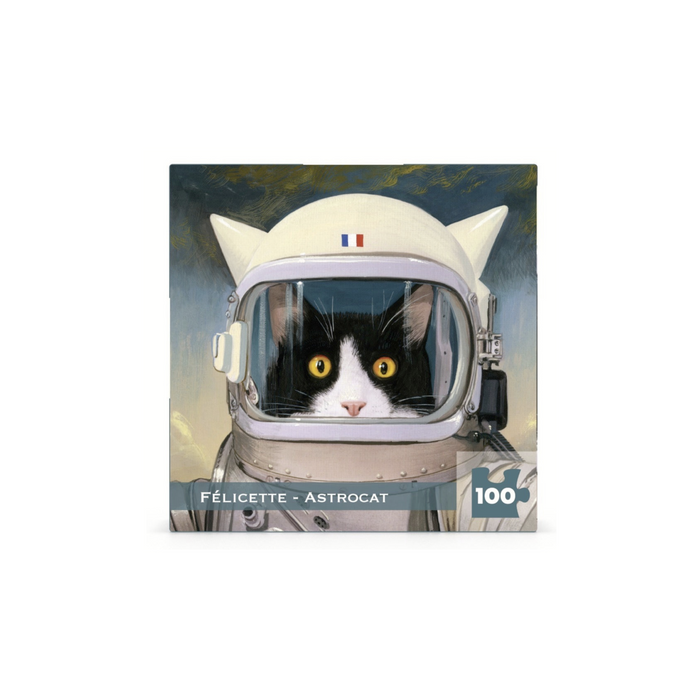 New York Puzzle - Astrocat Mini Puzzle 100 Piece Puzzle