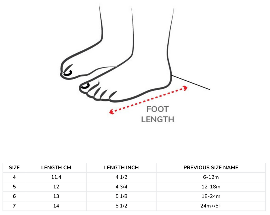 Stonz Cruiser Original Baby - Navy/Lantern Green