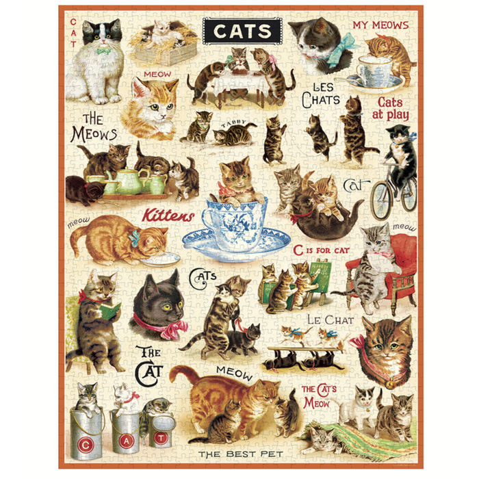 Cavallini & Co. Vintage Cats