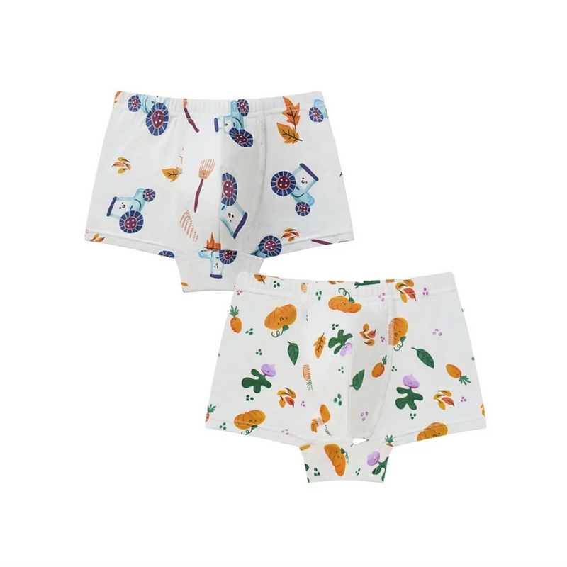 Bamboo Boys Boxer Briefs Underwear (2 Pack) - Harvest Time!