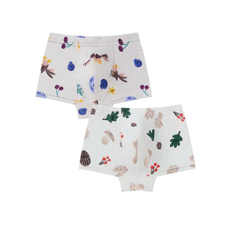 Bamboo Boys Boxer Briefs Underwear (2 Pack) - Fall Magic
