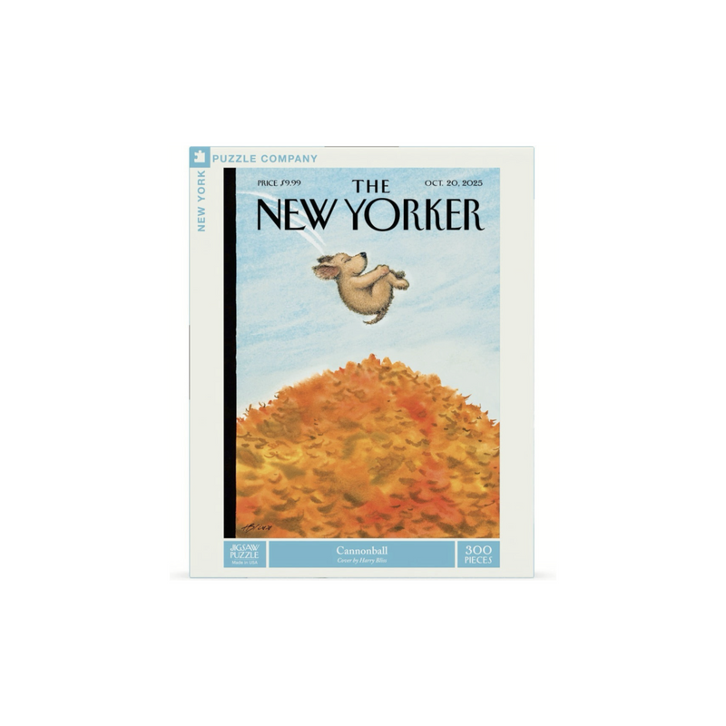 New York Puzzle - Cannonball 300 Piece Puzzle