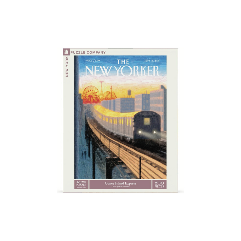 New York Puzzle - Coney Island Express 300 Piece Puzzle