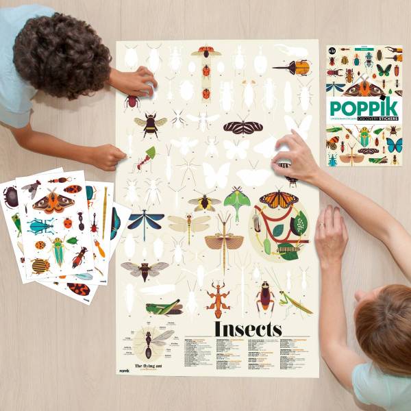 Poppik Discovery Poster Insects