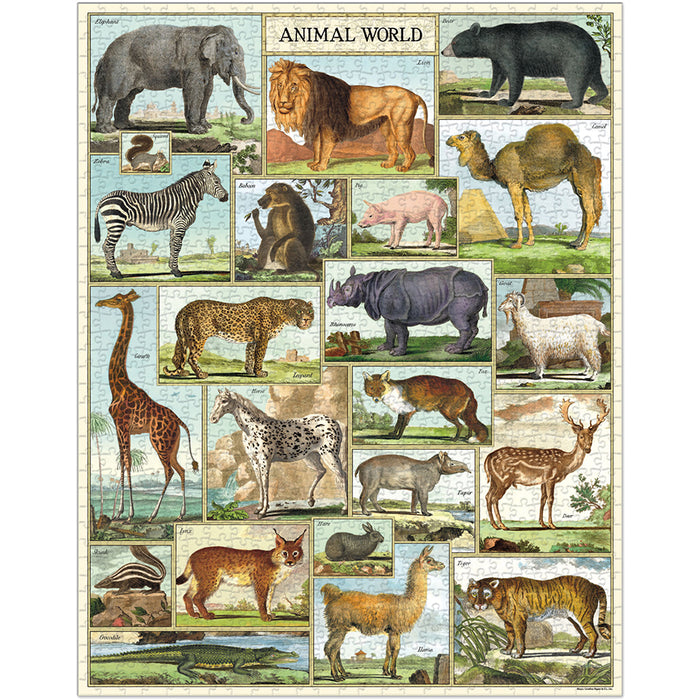 Cavallini & Co.  Animal World