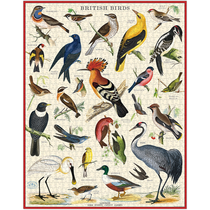 Cavallini & Co.  British Birds