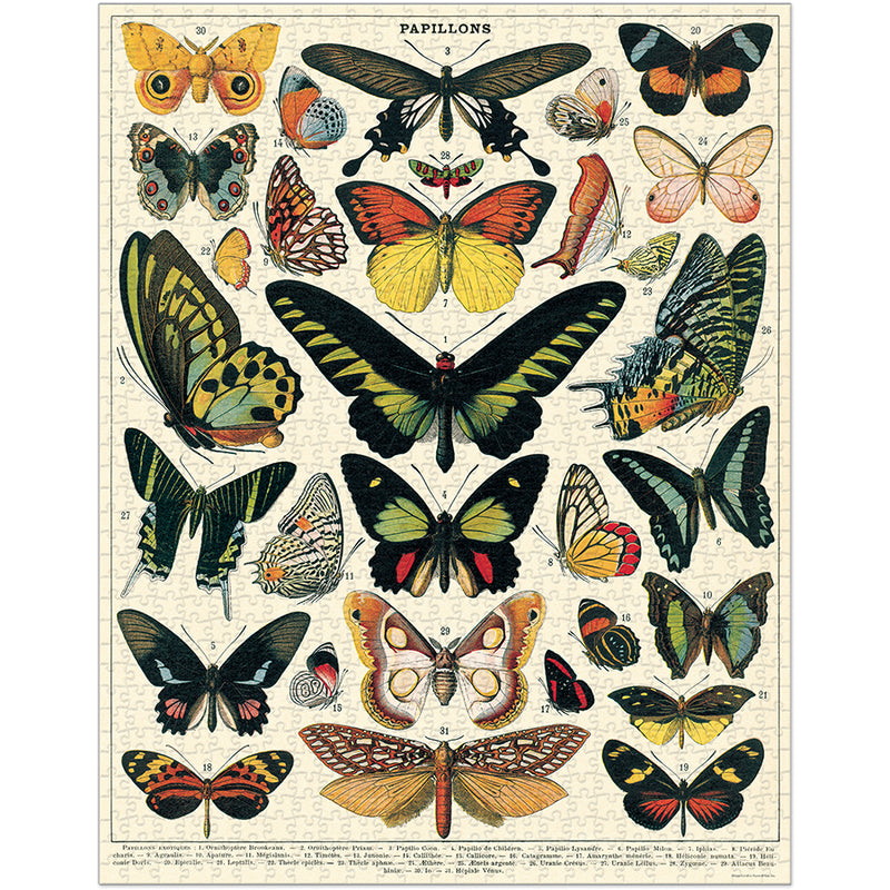 Cavallini & Co. Butterflies