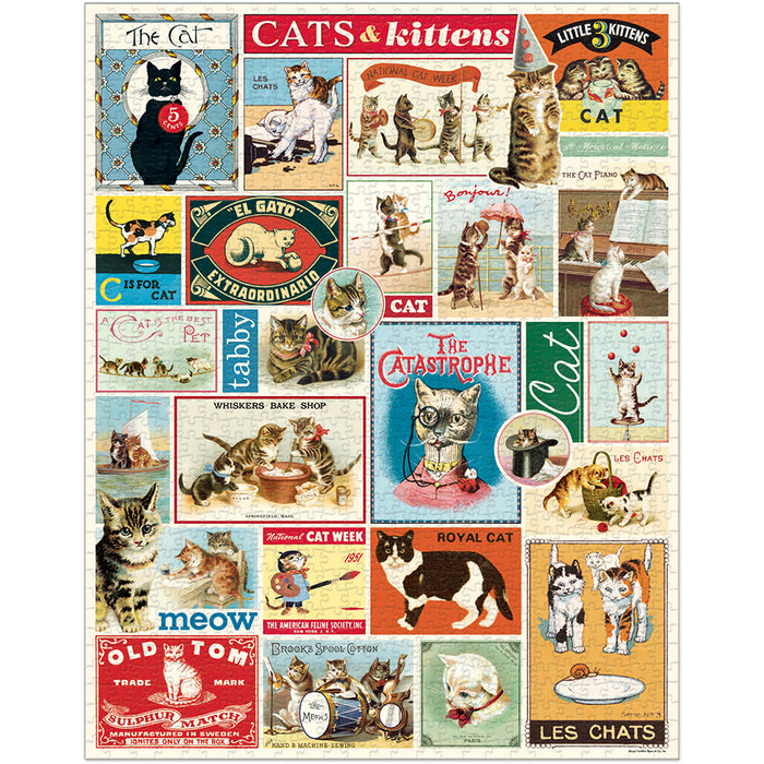 Cavallini & Co. Cats & Kitten
