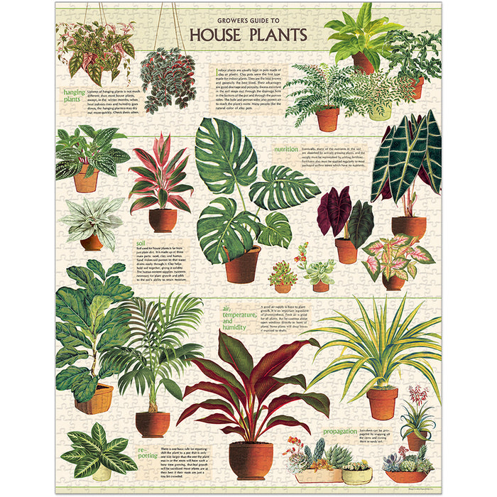 Cavallini & Co. House Plants