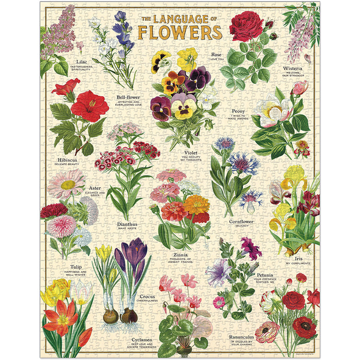 Cavallini & Co. Language of Flowers