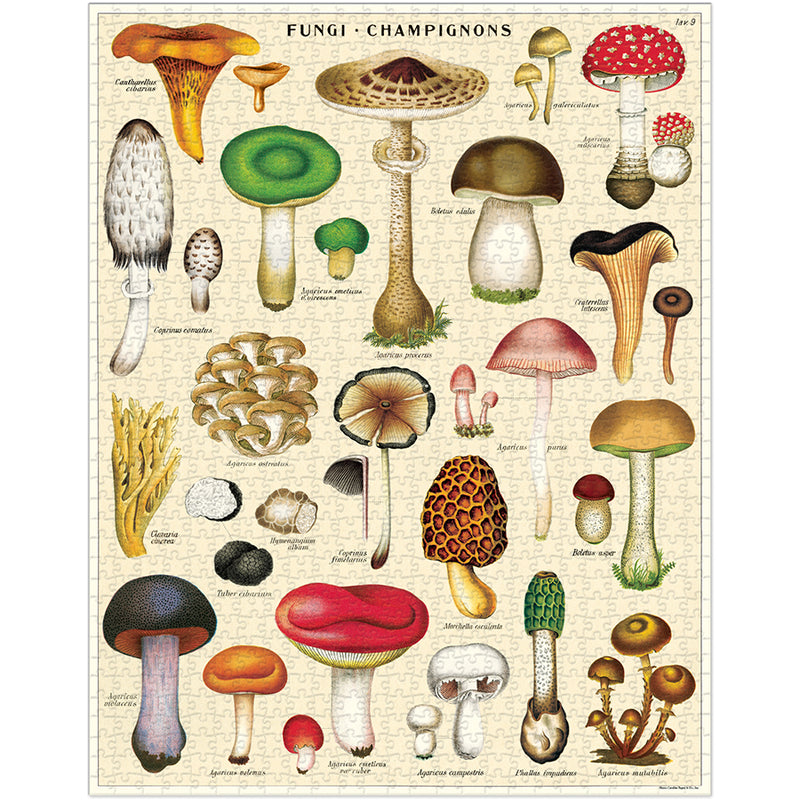 Cavallini & Co. Mushrooms