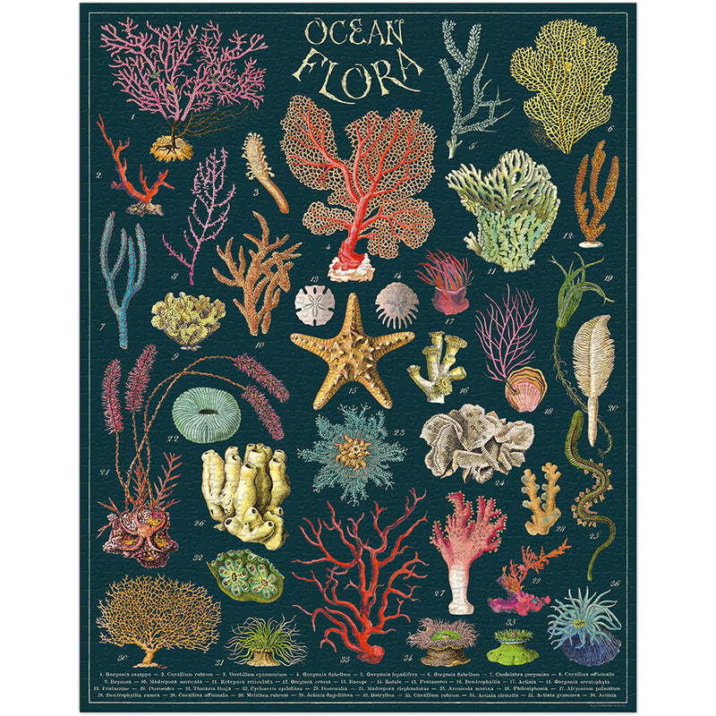 Cavallini & Co. Ocean Flora