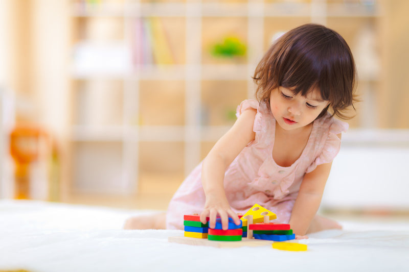 Plantoys Geometric Sorting Board