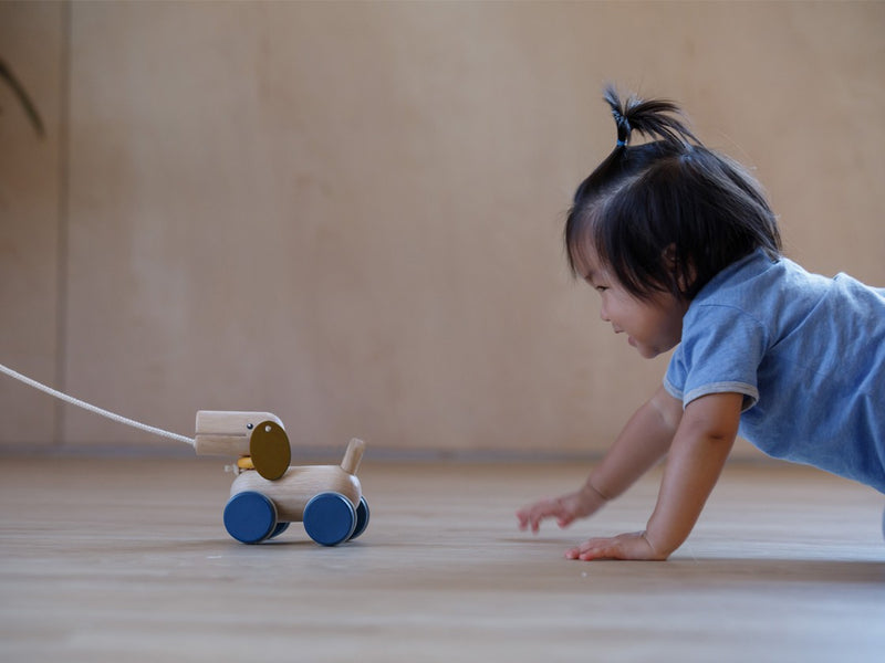 Plantoys Push & Pull Puppy