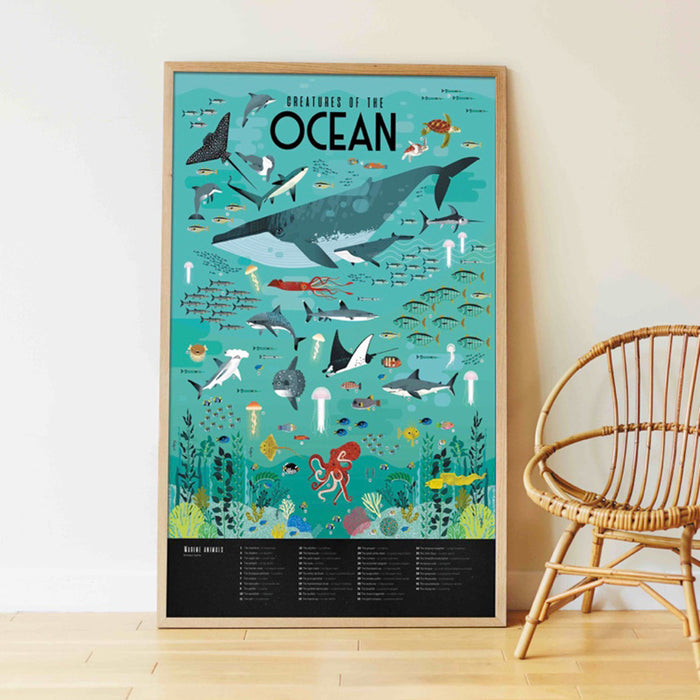 Educational Poster + 59 Stickers Oceans
