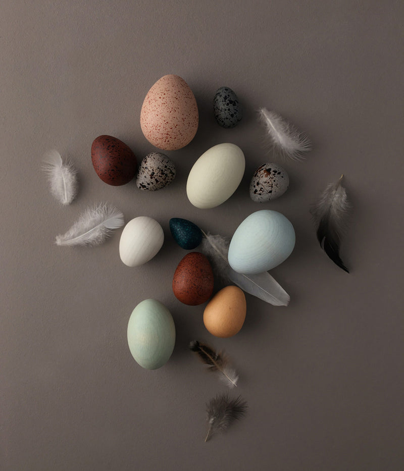 Moon Picnic A Dozen Bird Eggs in a box