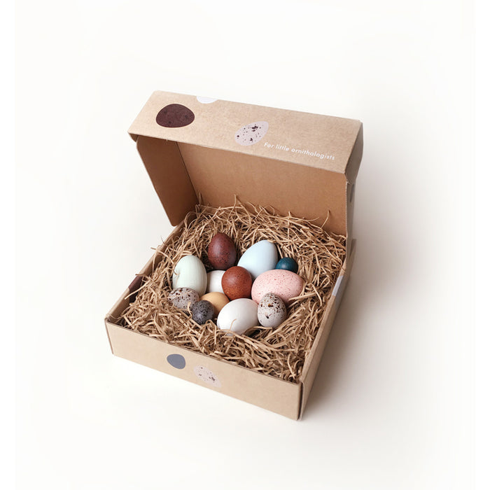 Moon Picnic A Dozen Bird Eggs in a box