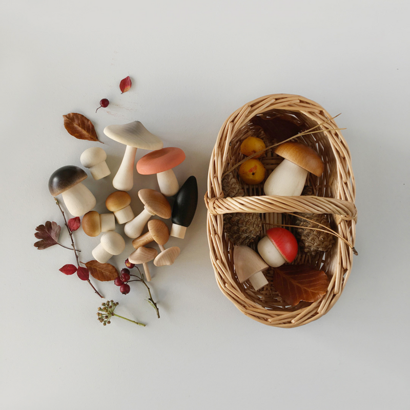 Moon Picnic Forest Mushrooms Basket
