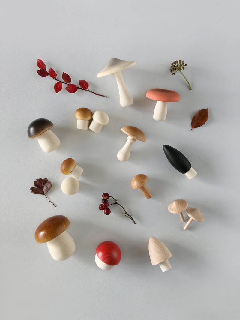 Moon Picnic Forest Mushrooms Basket