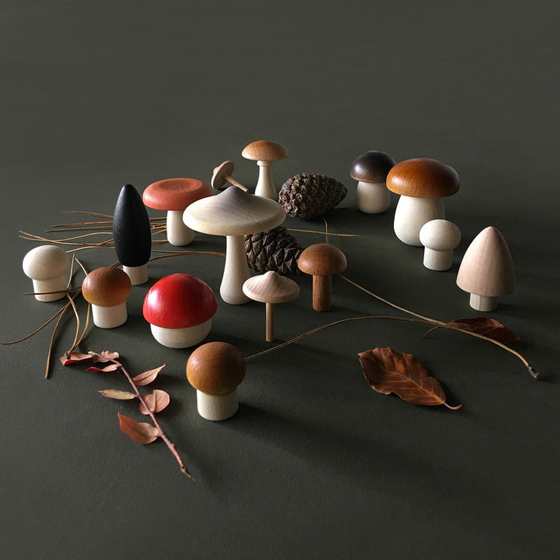 Moon Picnic Forest Mushrooms in a Box