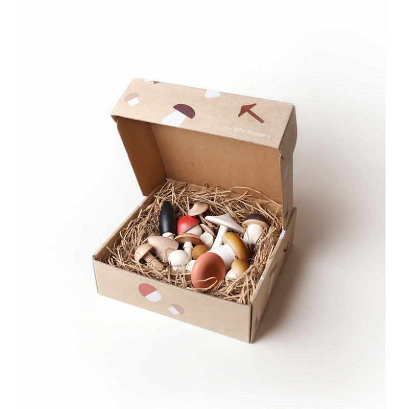 Moon Picnic Forest Mushrooms in a Box