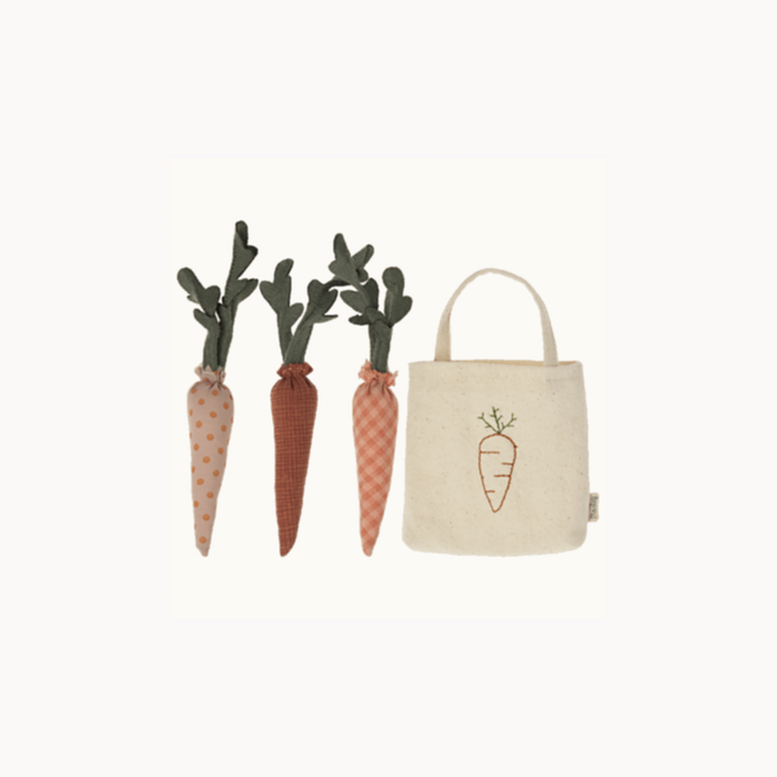 Carrots in shopping bag