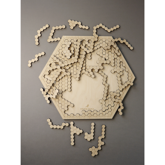 Brain Teaser Honeycomb 32*37cm (48 Elements)