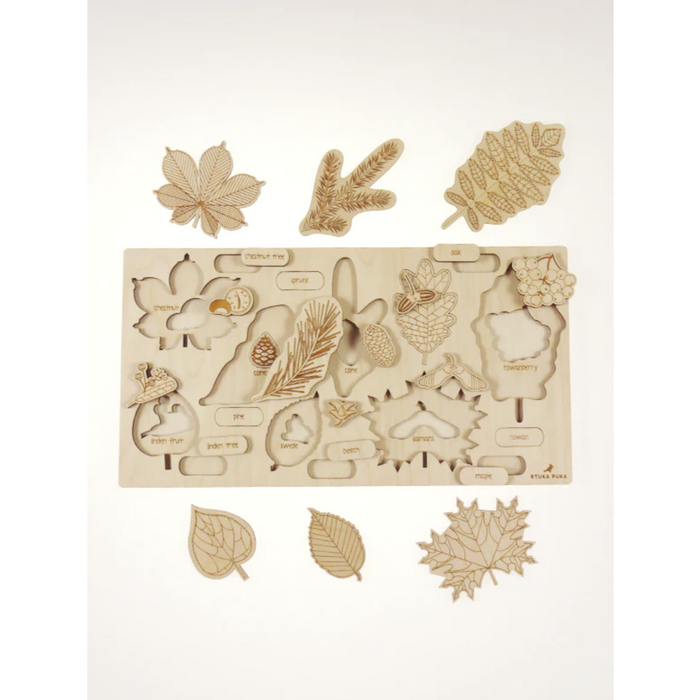 What Has Fallen from The Tree? Wooden Puzzle