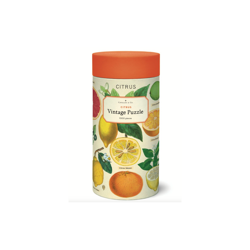 Cavallini & Co. Citrus